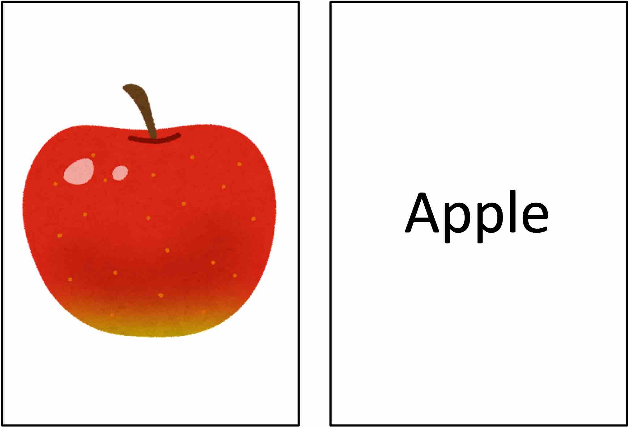 りんごのイラストのカードとりんごの英単語Appleのカードのペア